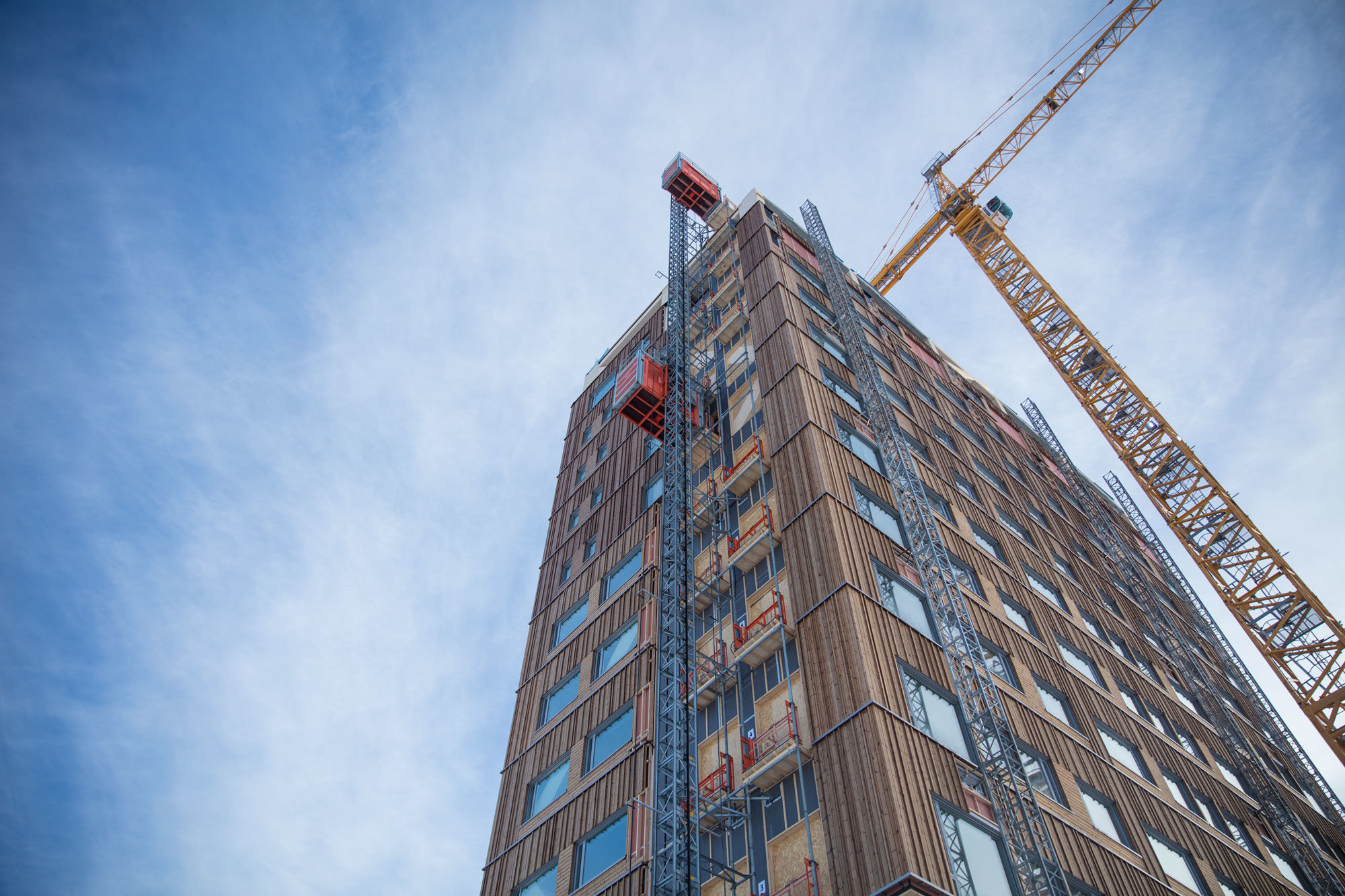 As Mass Timber Takes Off, How Inexperienced Is This New Constructing Materials?